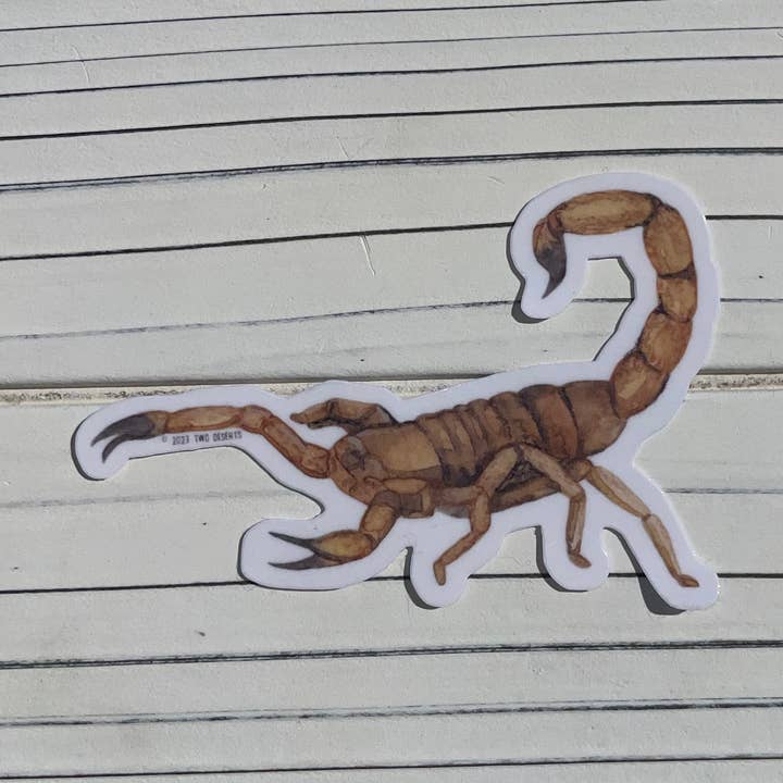 Scorpion Vinyl Sticker for wholesale by Two Deserts