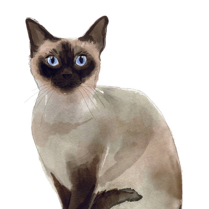 Siamese Cat Note Cards for wholesale by Bourbon & Bacon
