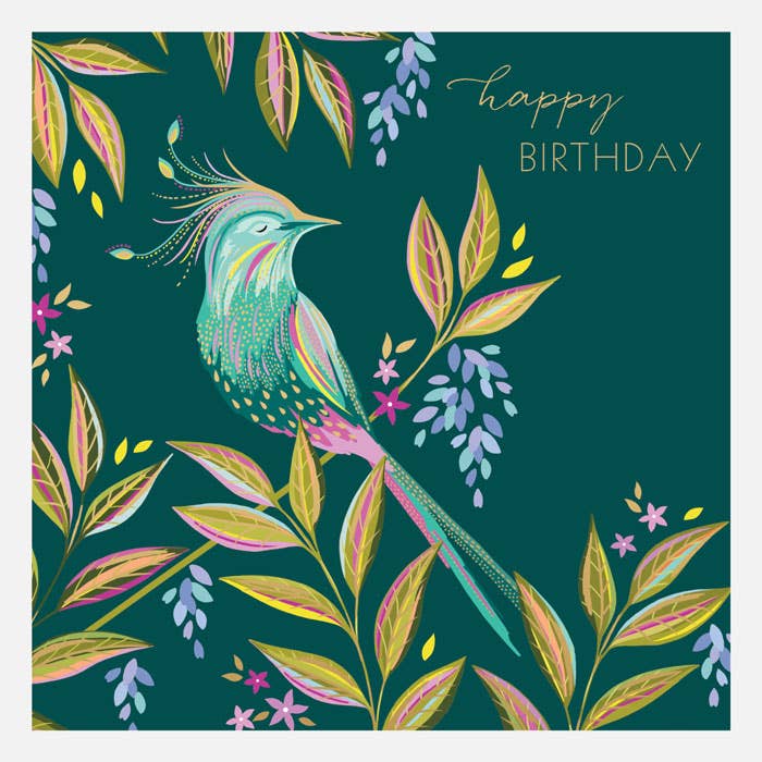 Carte d'anniversaire avec oiseau perché - Lot de 6 pour la vente par Sara Miller London