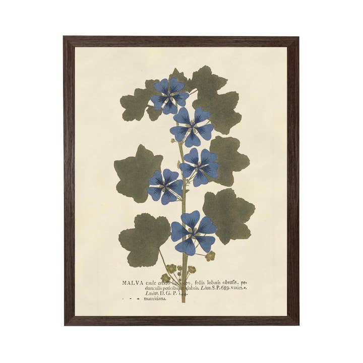 Vintage Blue Flower Art On Distressed Background for wholesale by Antique Curiosities Inc