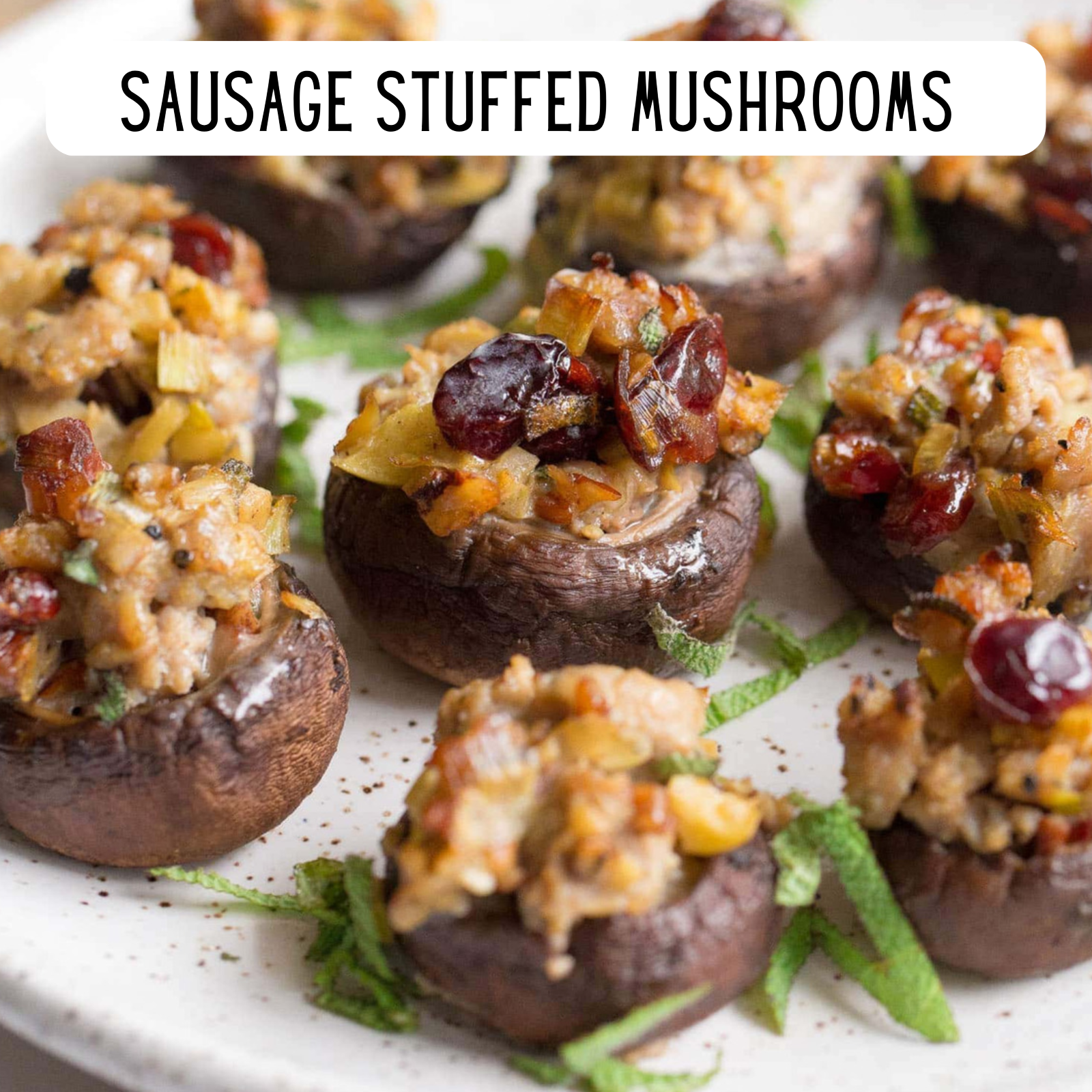 Alaska Seasoning Company - Wholesale Dried Spice Mix - Sausage Seasoning7