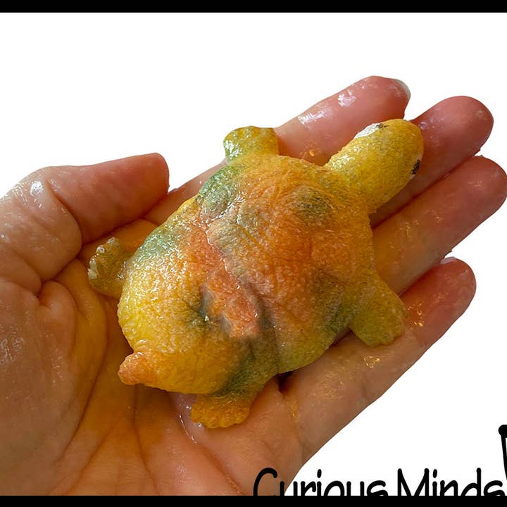 Curious Minds Toys - Wholesale Toy Set - Kids - 1 Hatch a Turtle Animal Grow in Water - Add Water Expands4