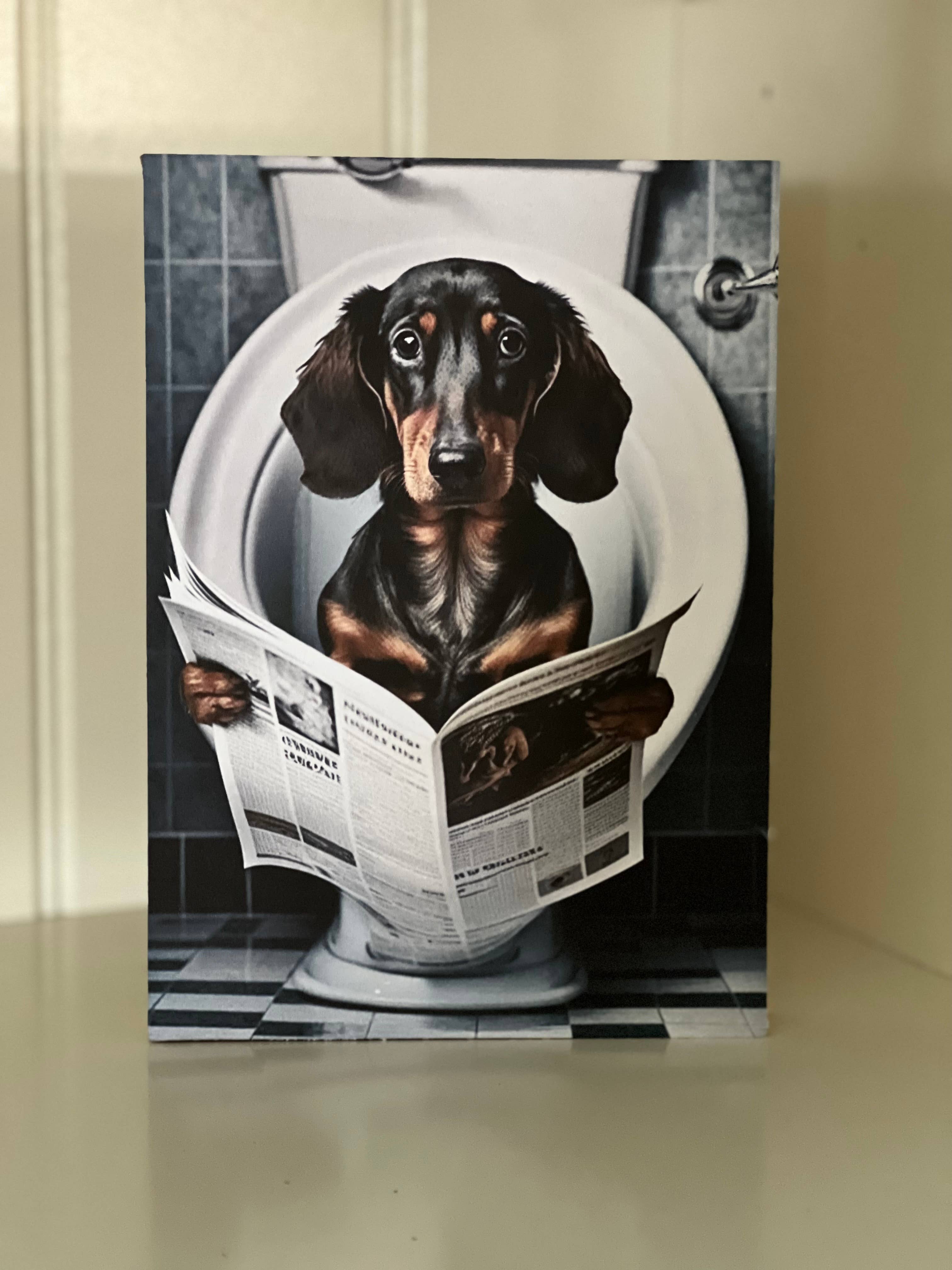 Thompsons Handmade Country LLC - Vendita all'ingrosso Cartelli da bagno - Cartelli umoristici per bagno con animali9