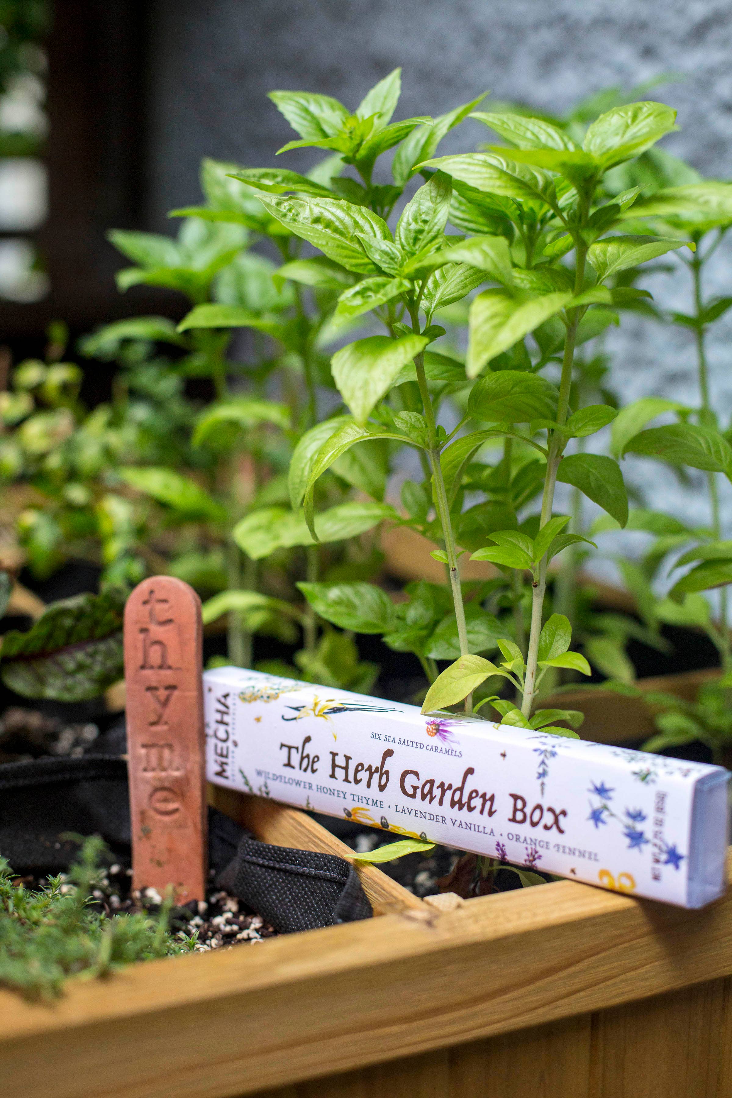 MECHA Chocolate - Wholesale Chocolate Box - Herb Garden Sea Salt Caramel Box (6 pieces)1