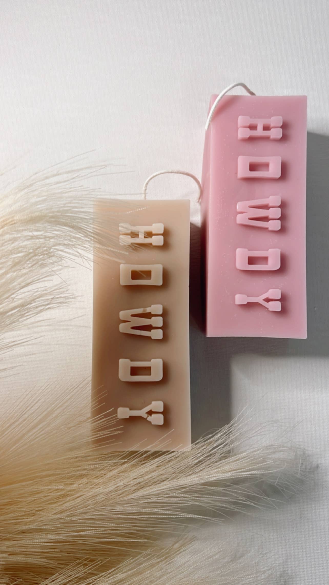 Dusty Rose Bodega - Wholesale Novelty Candle - HOWDY block4