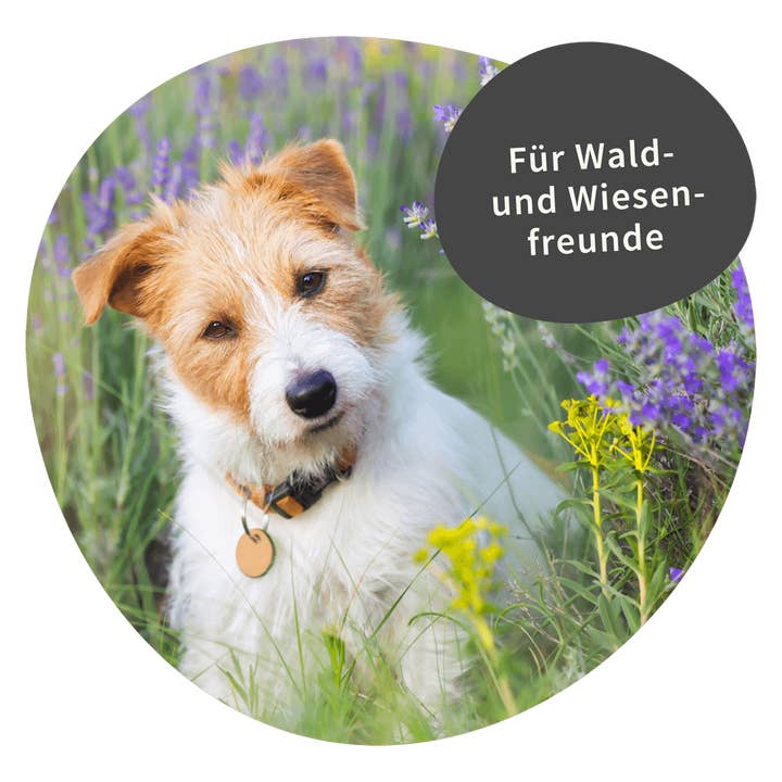 CURAPET - Wholesale Pet Supplement - Dog - CURAPET Cura-Z Powder – seasonal support for dogs5