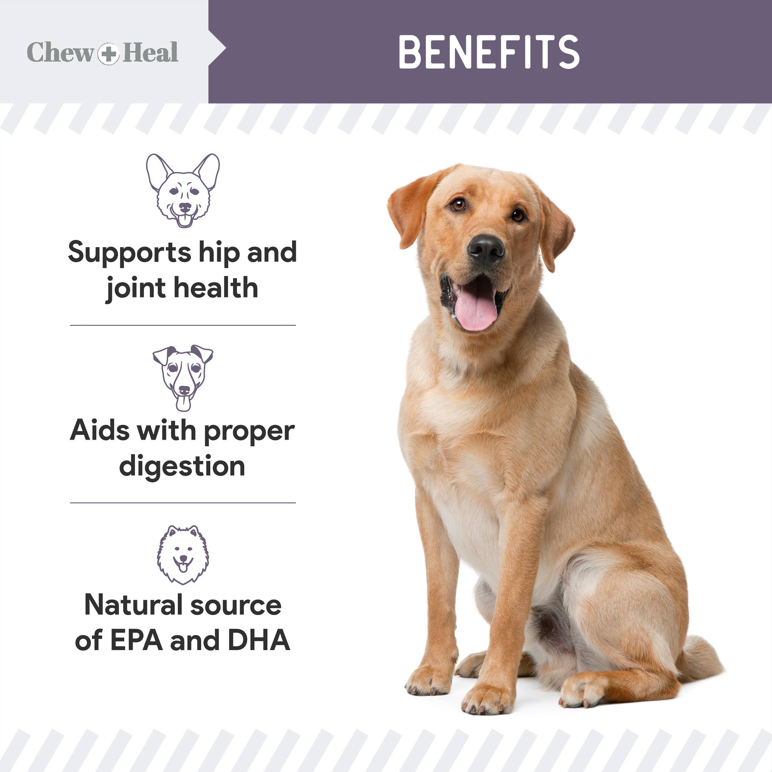 Chew + Heal - Wholesale Pet Treats - Dog - Senior Wild Alaskan Salmon Limited Ingredient Dog Treats11