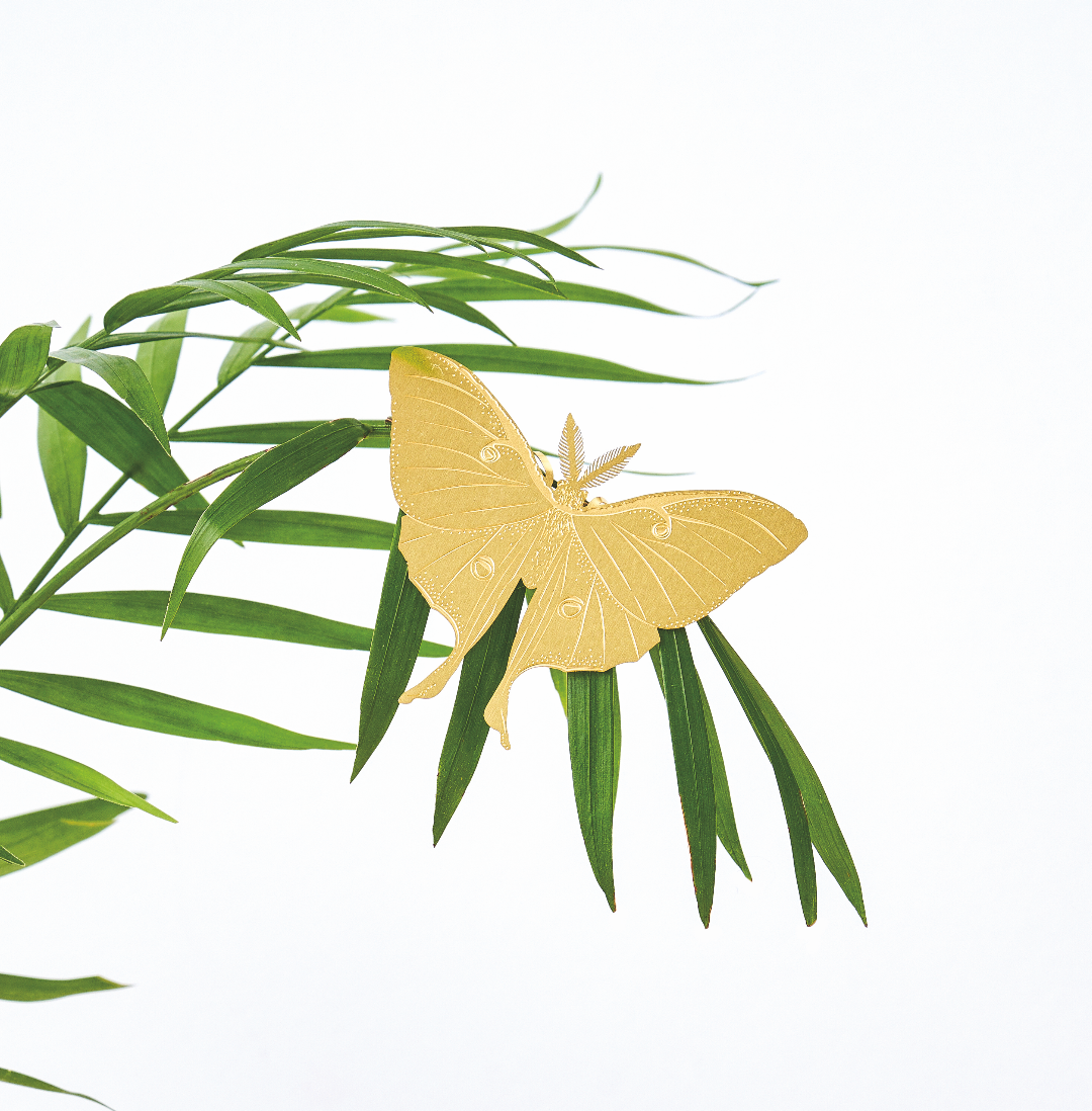 Another Studio UK - Wholesale Ornament - Plant Animal - Luna Moth, House Plant Charm2