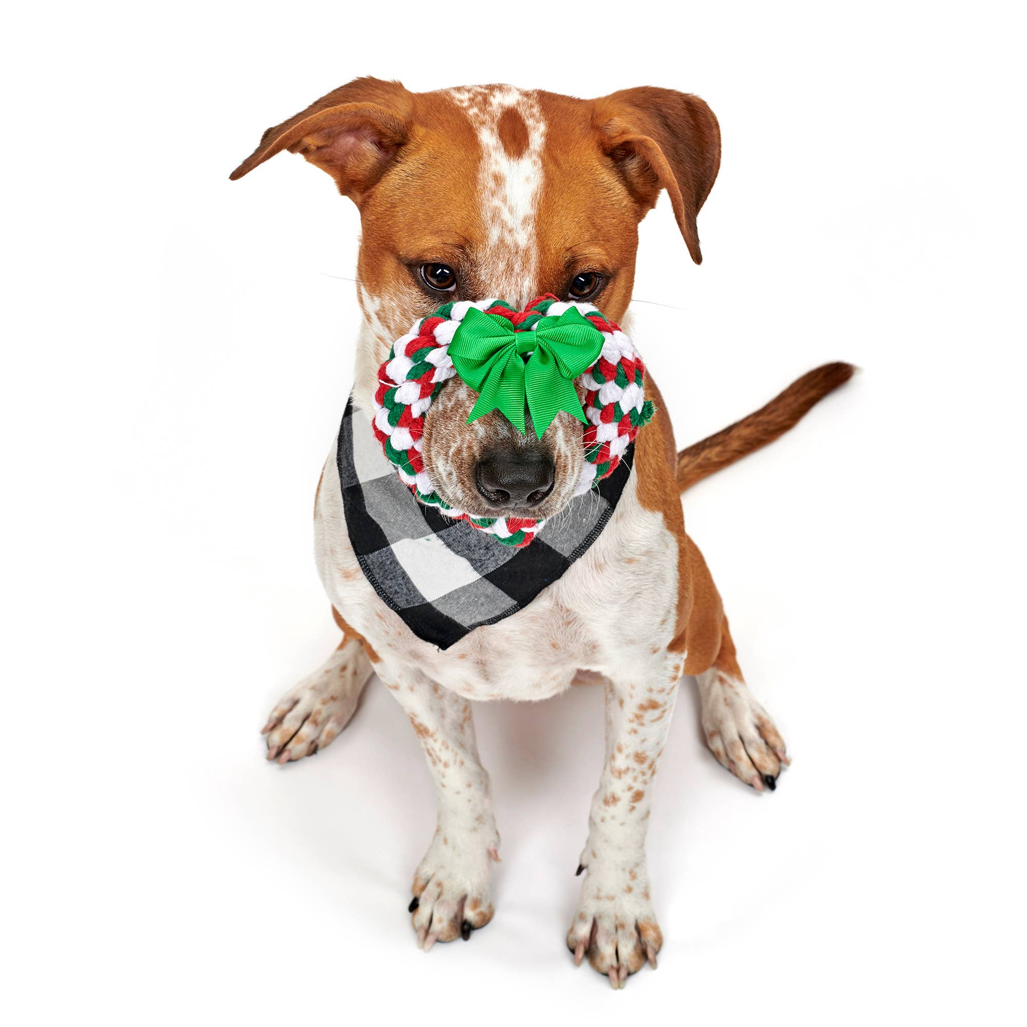 Jax & Bones - Vendita all'ingrosso Giocattolo di corda - Cani - Giocattolo a forma di cuore natalizio (taglia unica)3