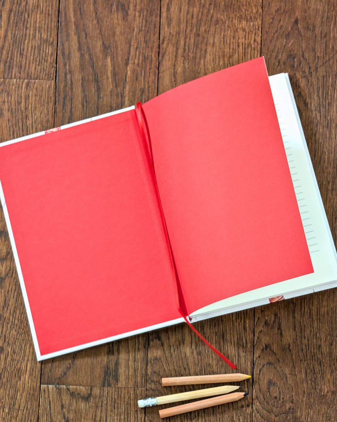 Varek Illustrations - Venta al por mayor Cuadernos - Cuaderno A5: La Gamba1