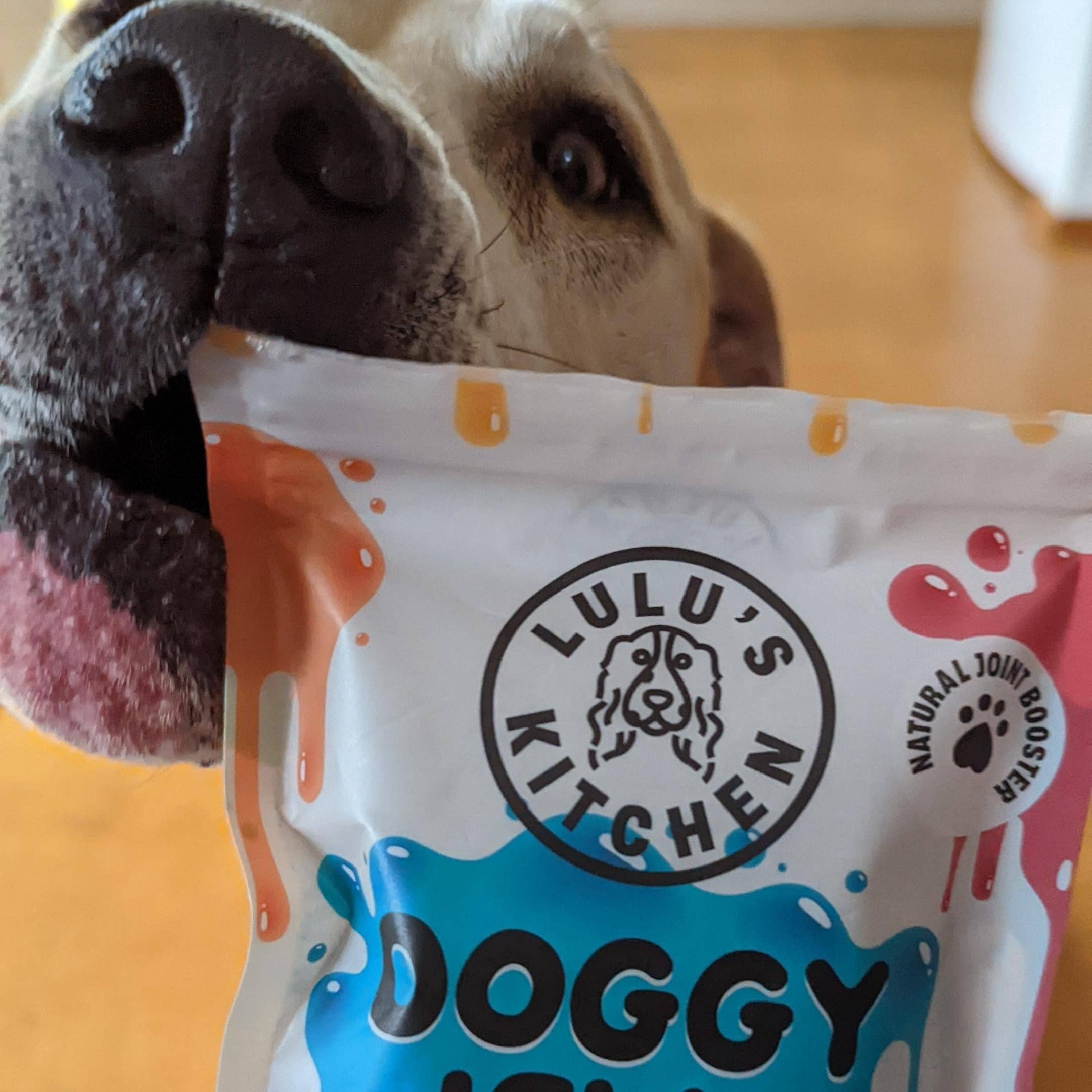 Rover Pet Products - Wholesale Pet Food - Dog - Blueberry & Blue Spirulina Superfood Jelly5