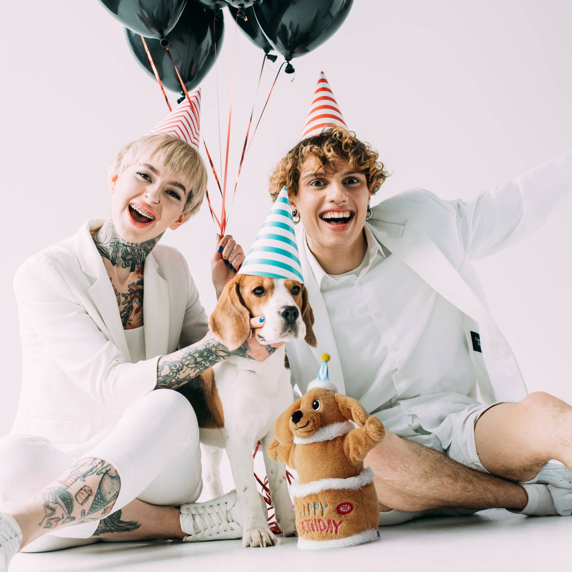 Nocciola – wholesale Pet plush toy – Dog – Fuzzwoof Singing and Dancing Birthday Cake Dog Toy10