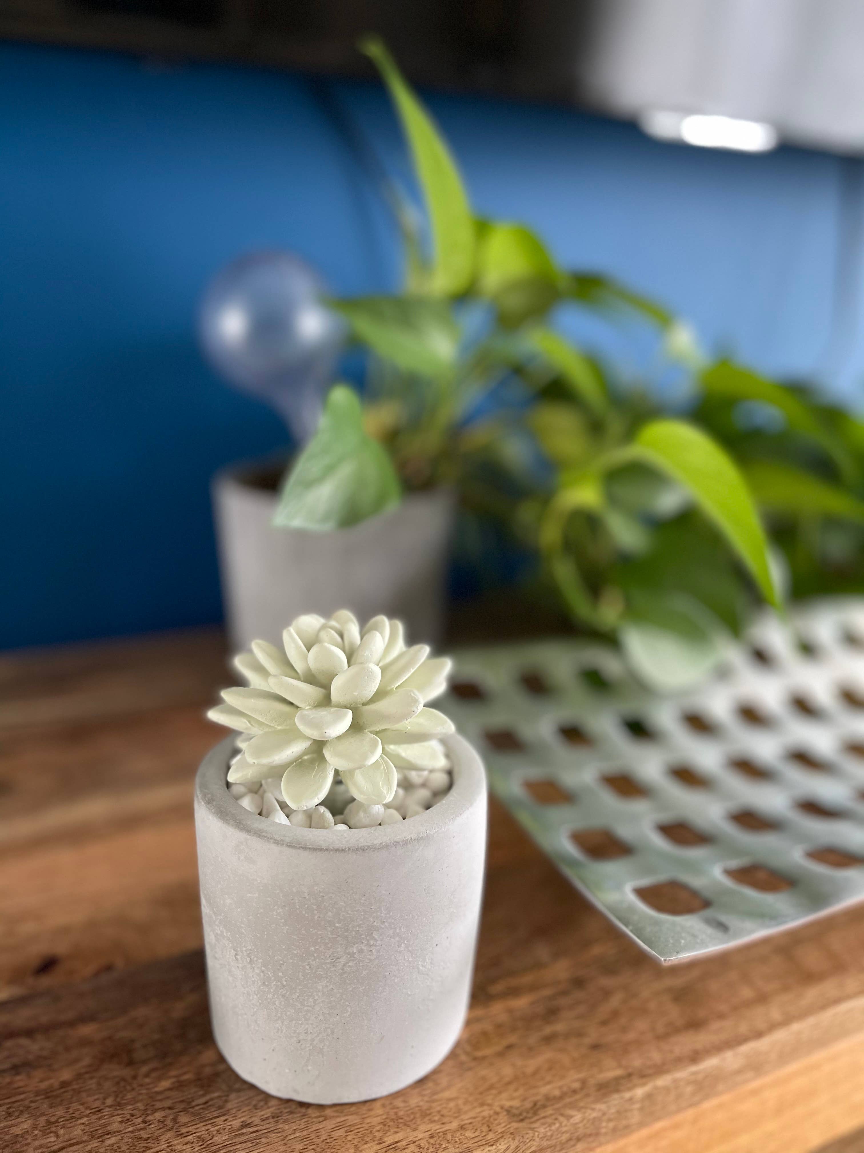 Pretty Valley Home - Wholesale Diffuser Fragrance Refill - Succulent in Planter Diffuser Gift Set for Home Decor8