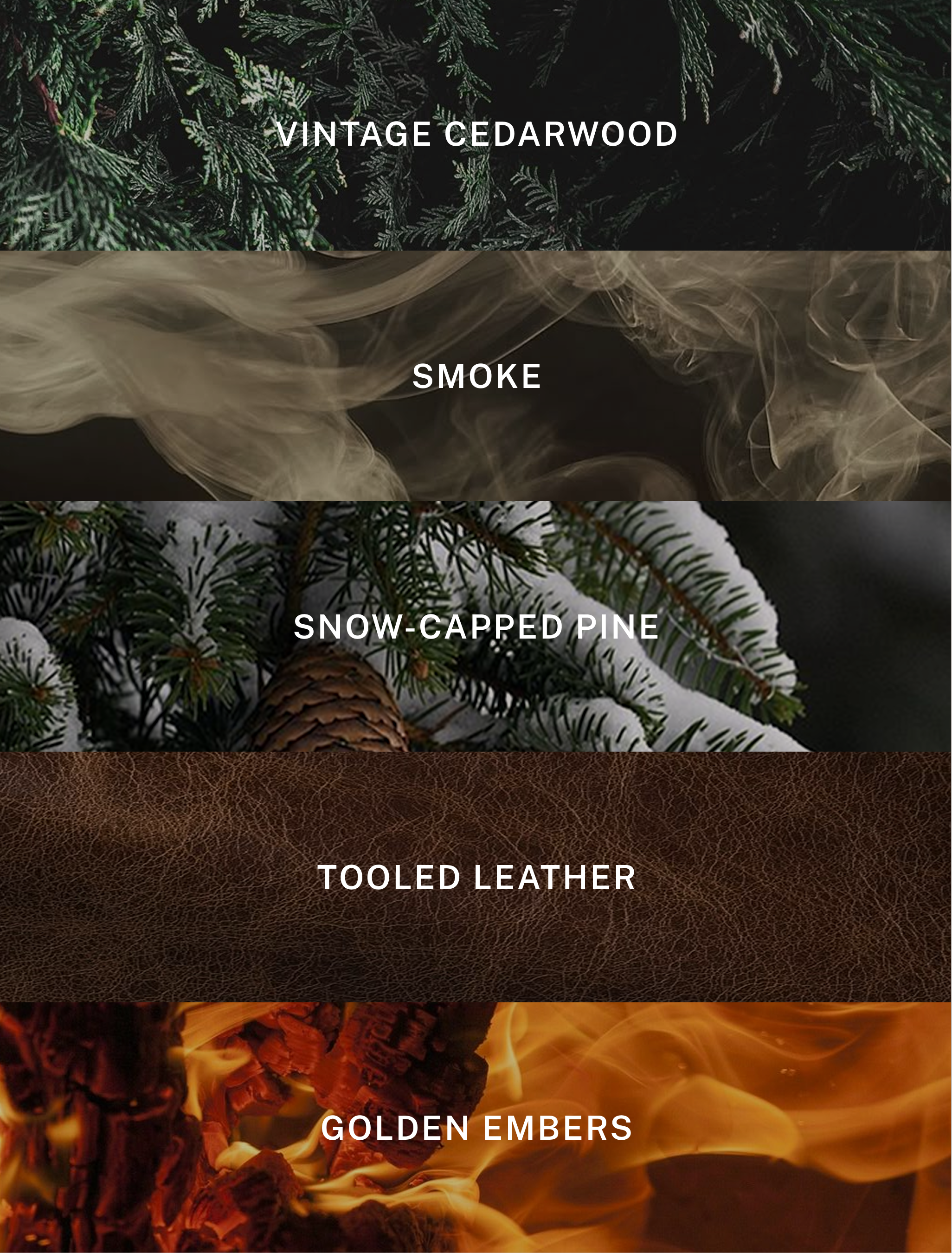 Hotel Lobby Candle - Wholesale Jar/Filled Candle - Aspen - Fall Scented Candle - 9.75 oz Soy Candle1