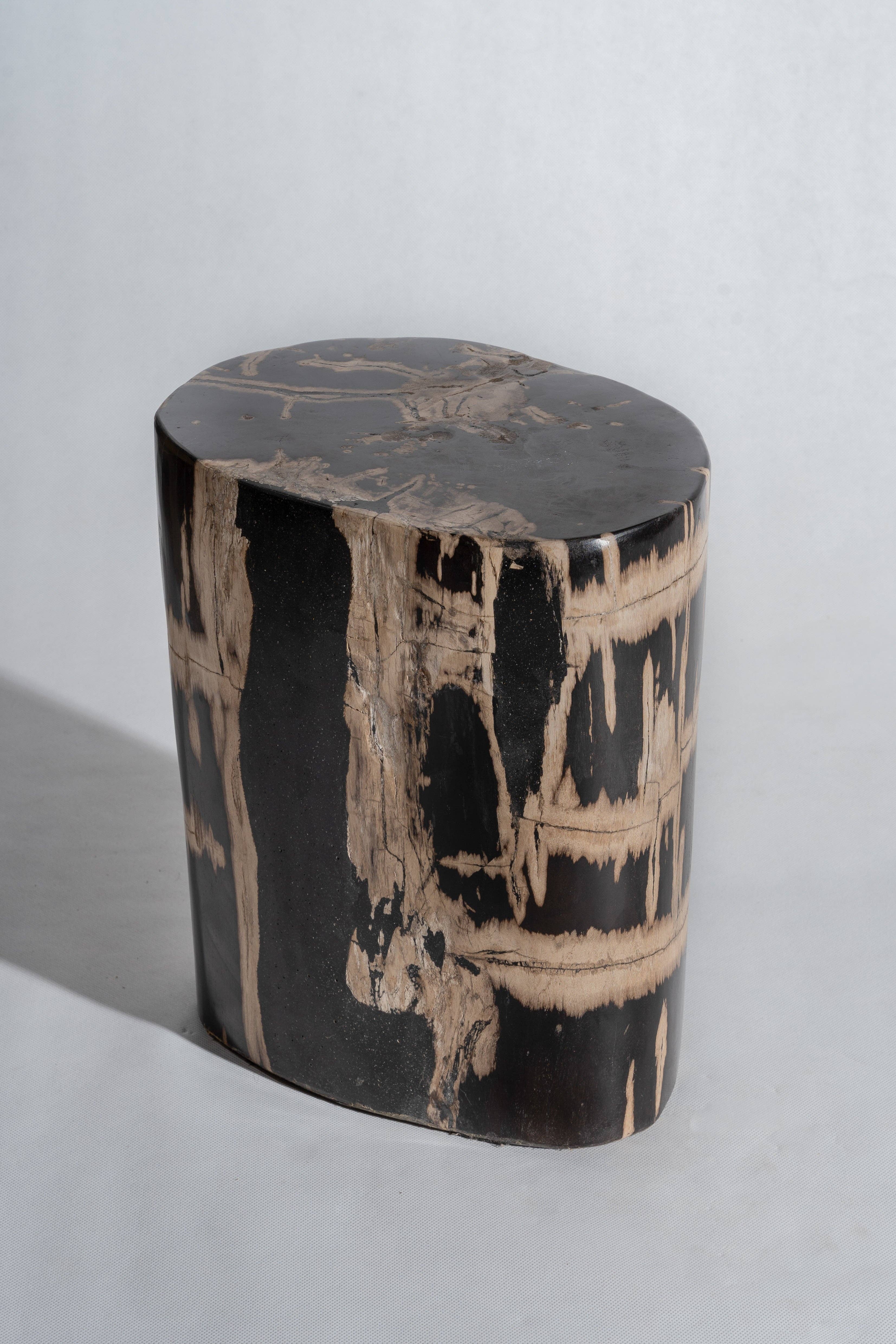 Office Objets - Vente Tables d'appoint - Table d'appoint en bois pétrifié49