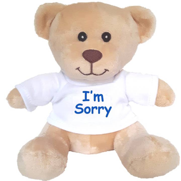 Hug-a-BooBoo - Wholesale Stuffed/plush toy – Kids & baby - "I'm Sorry" Small & Super Cute Teddy Bear