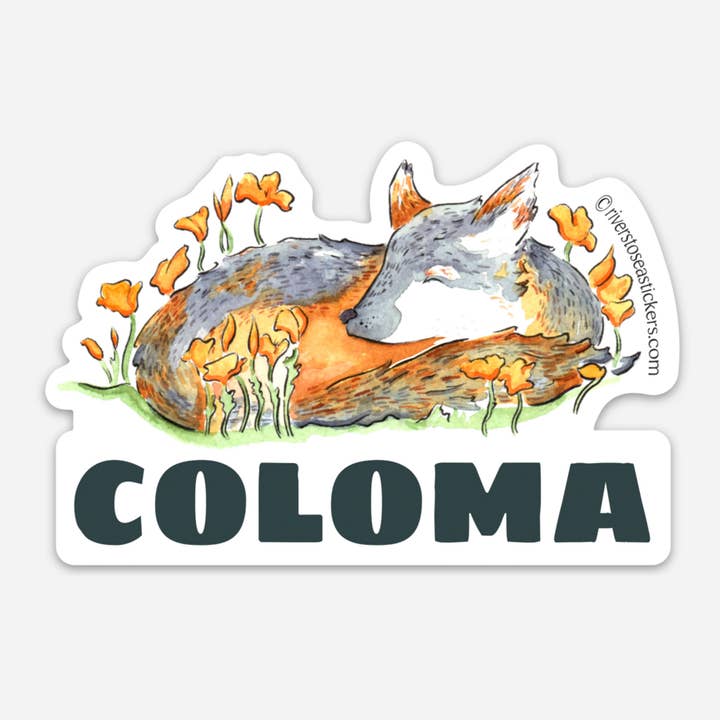 Coloma Fox for wholesale by Drew Madden Art Stickers