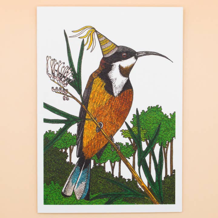 Eastern Spinebill Greeting Card Australia Bird Birthday Card for wholesale by Sunshine Sea Art