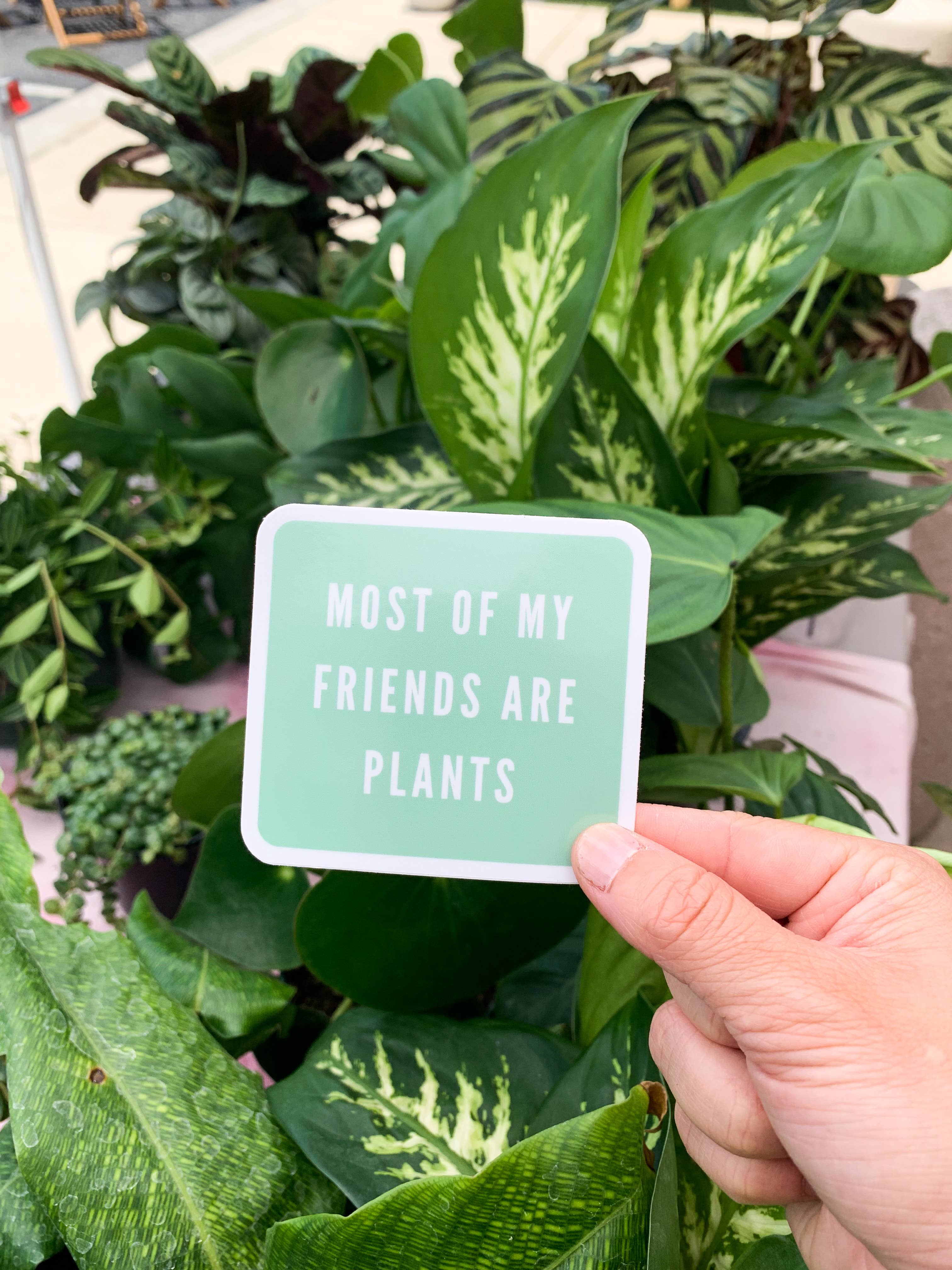 Tiny Plant Market - Wholesale Sticker - Most of My Friends Are Plants Sticker2