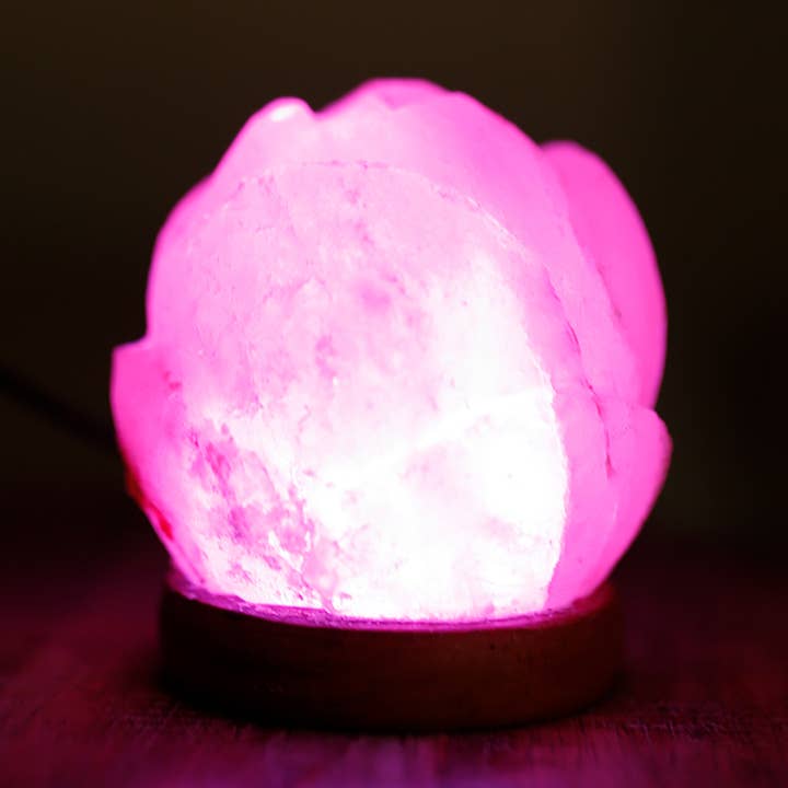 2 USB salt lamps - Pink for wholesale by Ethike.eu