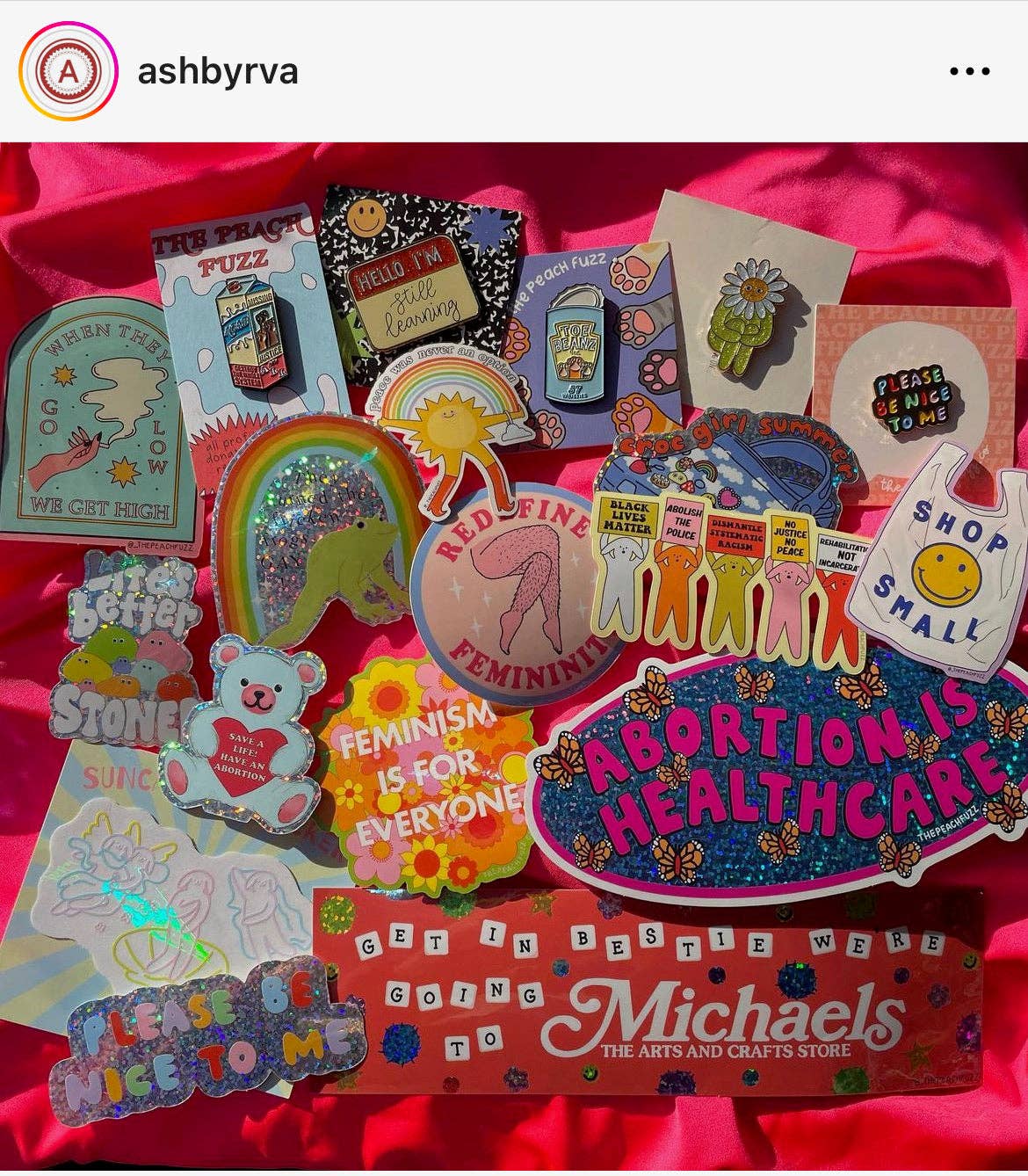 The Peach Fuzz - Wholesale Sticker - Please Be Nice To Me Sticker11