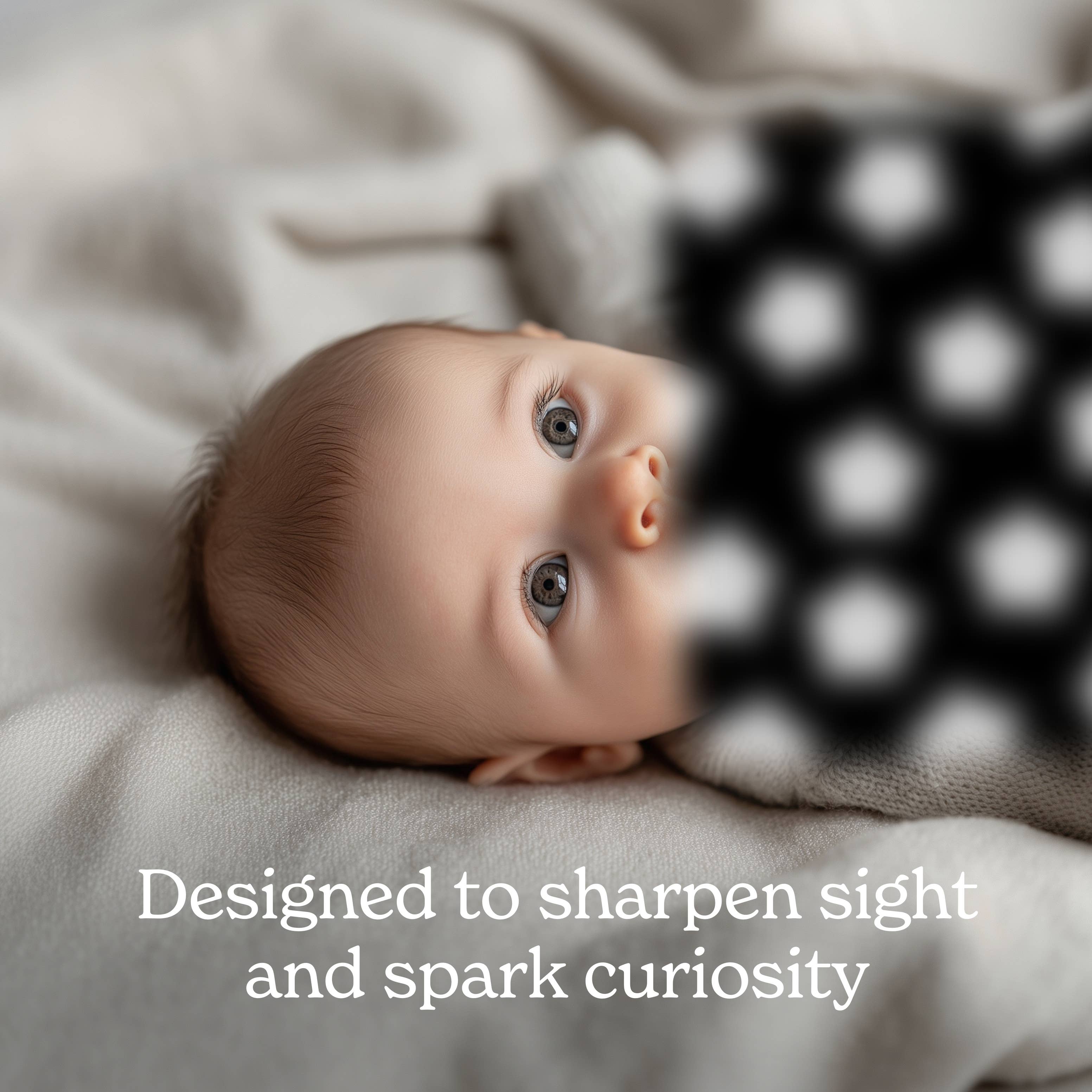 Chunky Deli - Wholesale Learning Cards - Kids & Baby - Pasta for Baby High-Contrast Art Cards2