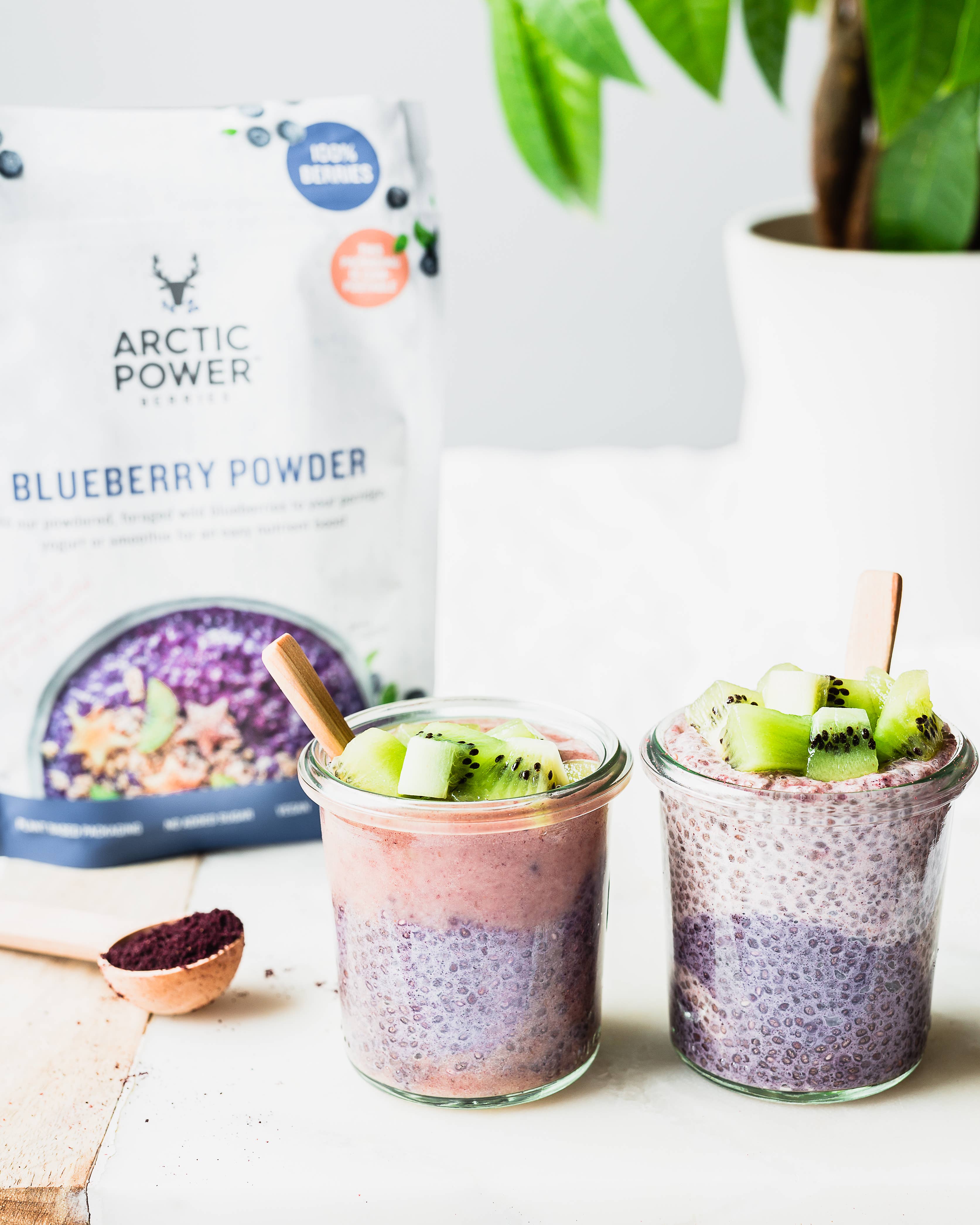 Arctic Power Berries – wholesale Protein/superfood powder – Blueberry Powder 70g3