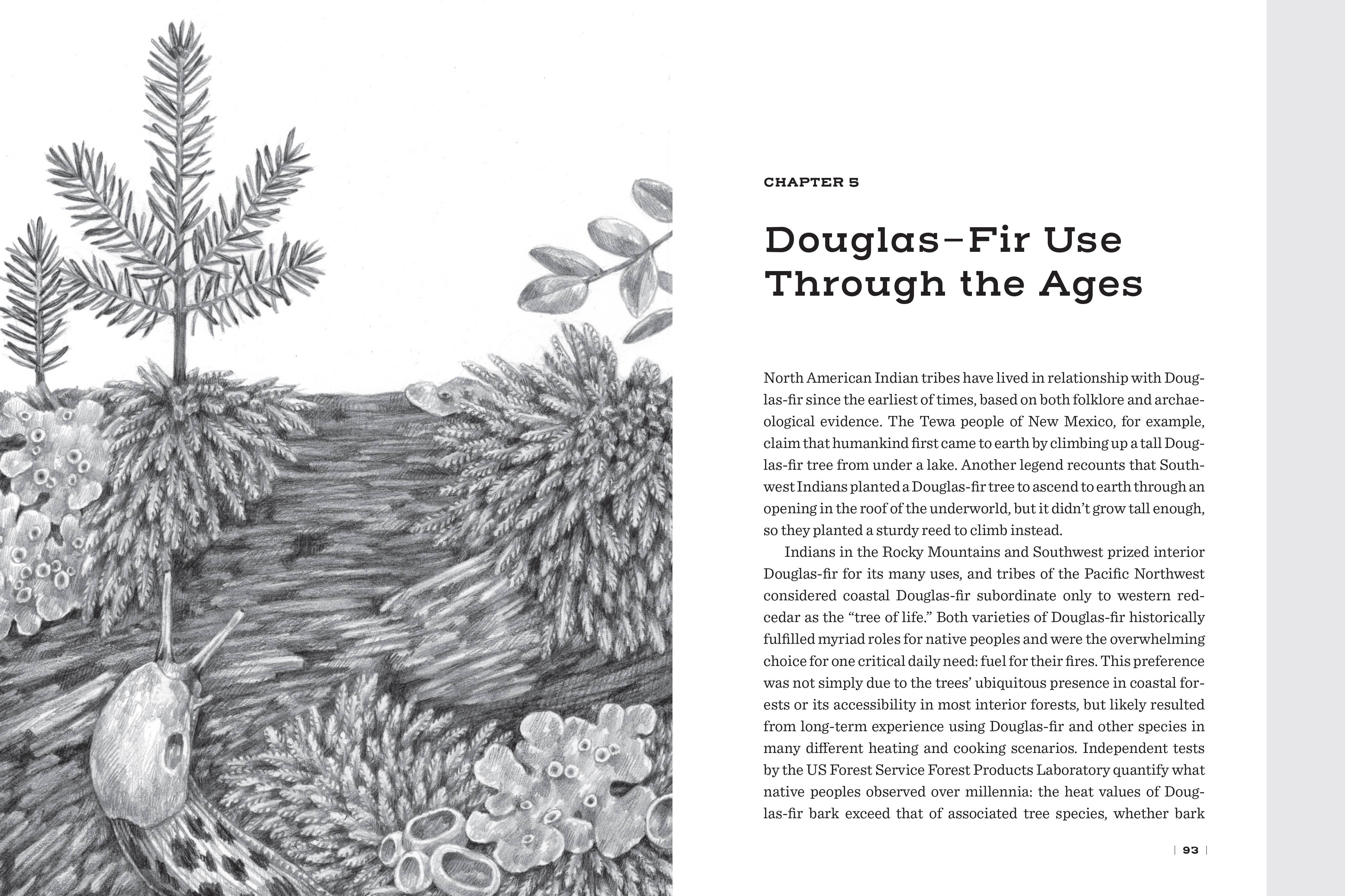 Mountaineers Books - Wholesale Nature & Outdoors - Douglas Fir: The Story of the West’s Most Remarkable Tree5