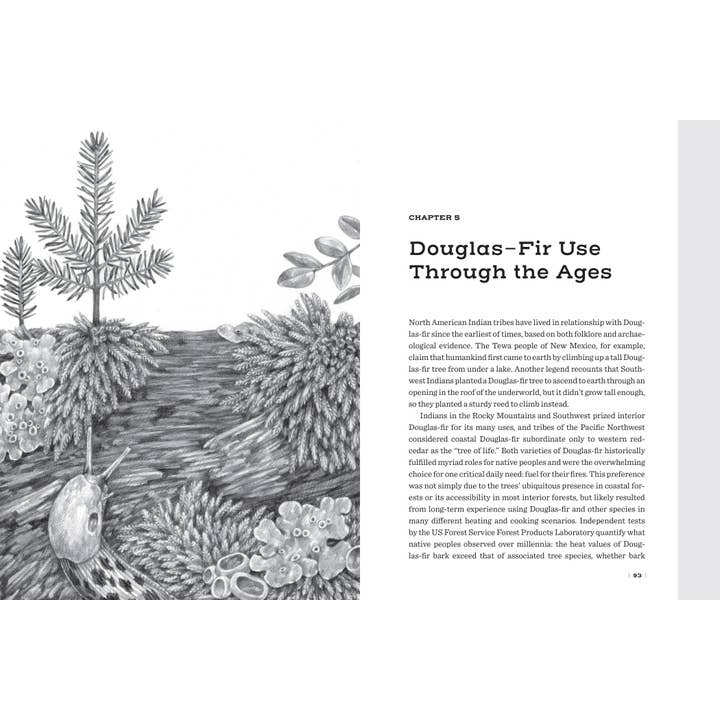 Mountaineers Books - Wholesale Nature & Outdoors - Douglas Fir: The Story of the West’s Most Remarkable Tree5