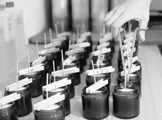 LA BOUGIE HERBIVORE - Wholesale Jar/Filled Candle - White Label Scented Candle – 140g Amber Glass5