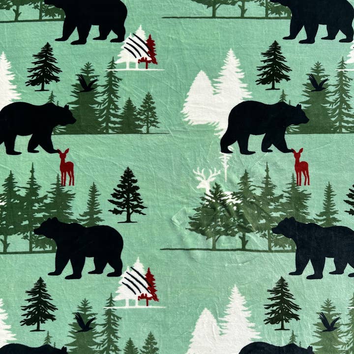 Green Bears King Size Super Plush Blanket for wholesale by Sunshine Home Textile