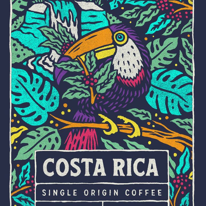 Bones Coffee Company - Wholesale Coffee beans - Costa Rica Single-Origin Coffee | 5lb | Whole Bean & Ground2