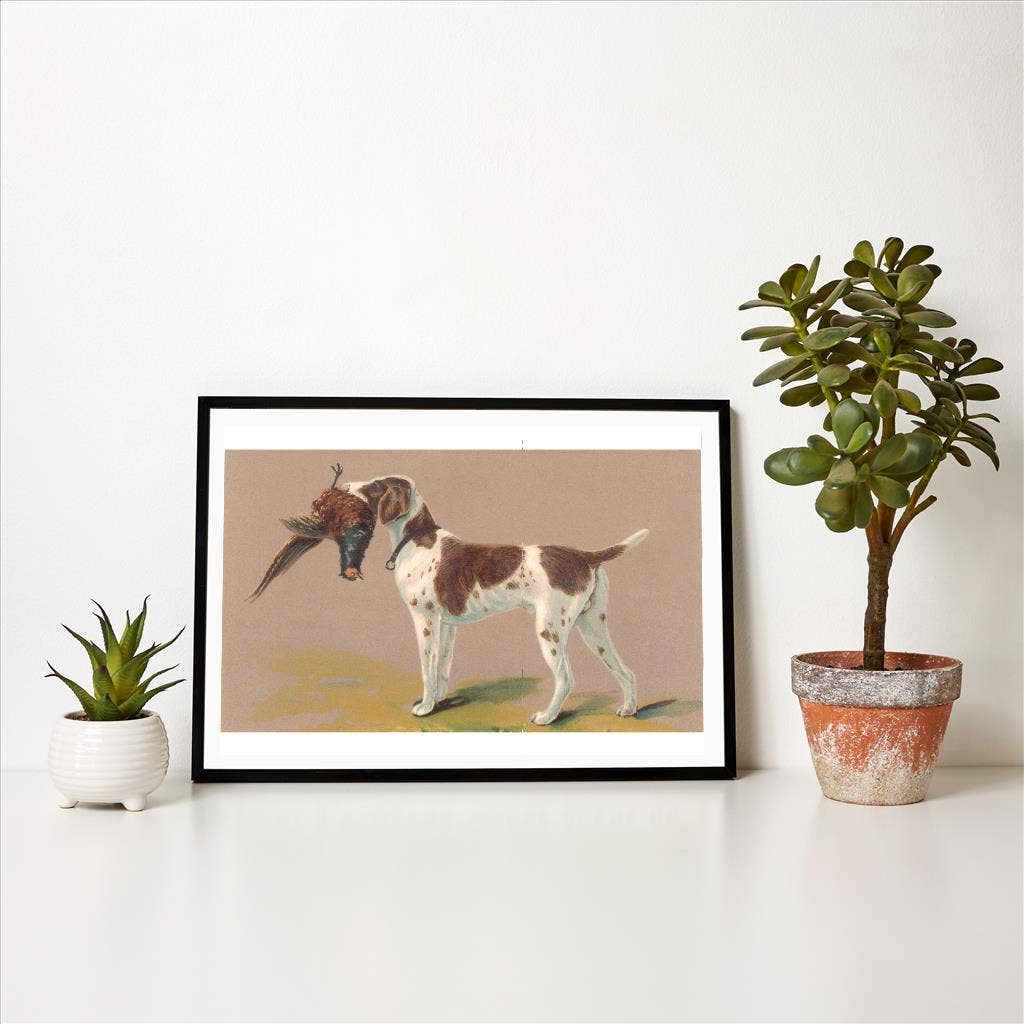 Found Image Press – wholesale Art print – Art Print DG-78 German Short-haired Pointer with Pheasant1