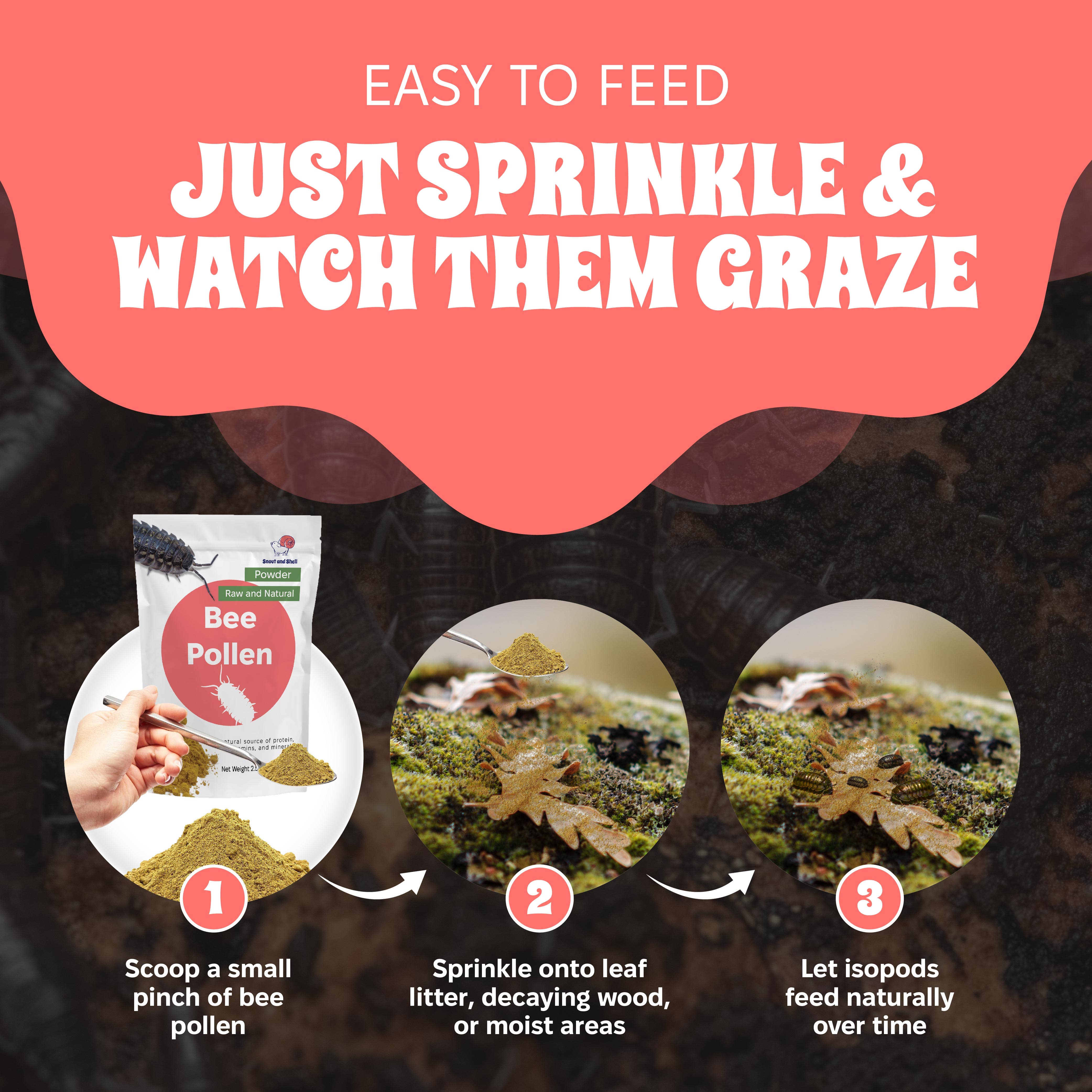 Snout and Shell - Wholesale Pet Supplement - Not Cat/Dog - Bee Pollen Powder for Isopods2