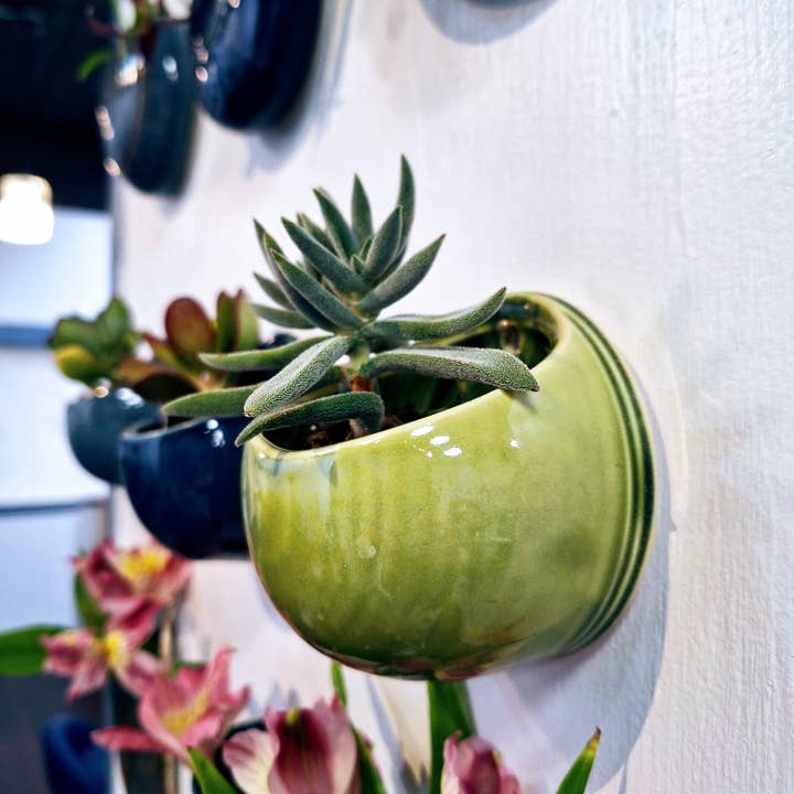 Plays in Mud Pottery - Wholesale Wall Planter - Succulent Wall Planter- Handmade Pottery- Made to Order4
