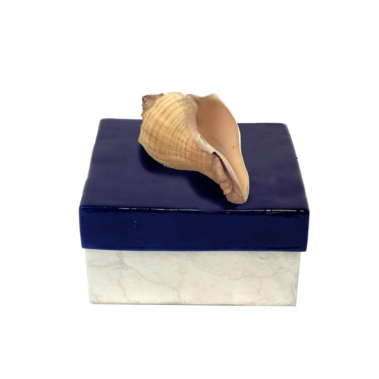 Beachcombers - Wholesale Decorative Box - SALE Shell Capiz Coastal Trinket Box0
