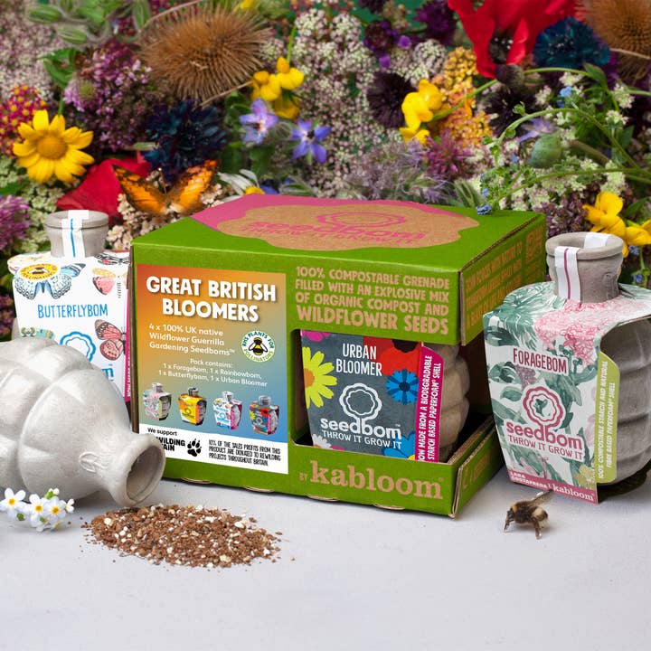 Great British Bloomers 4 Pk Seedbom Wildflower Gift Set for wholesale by Shroot: Kabloom Seedboms