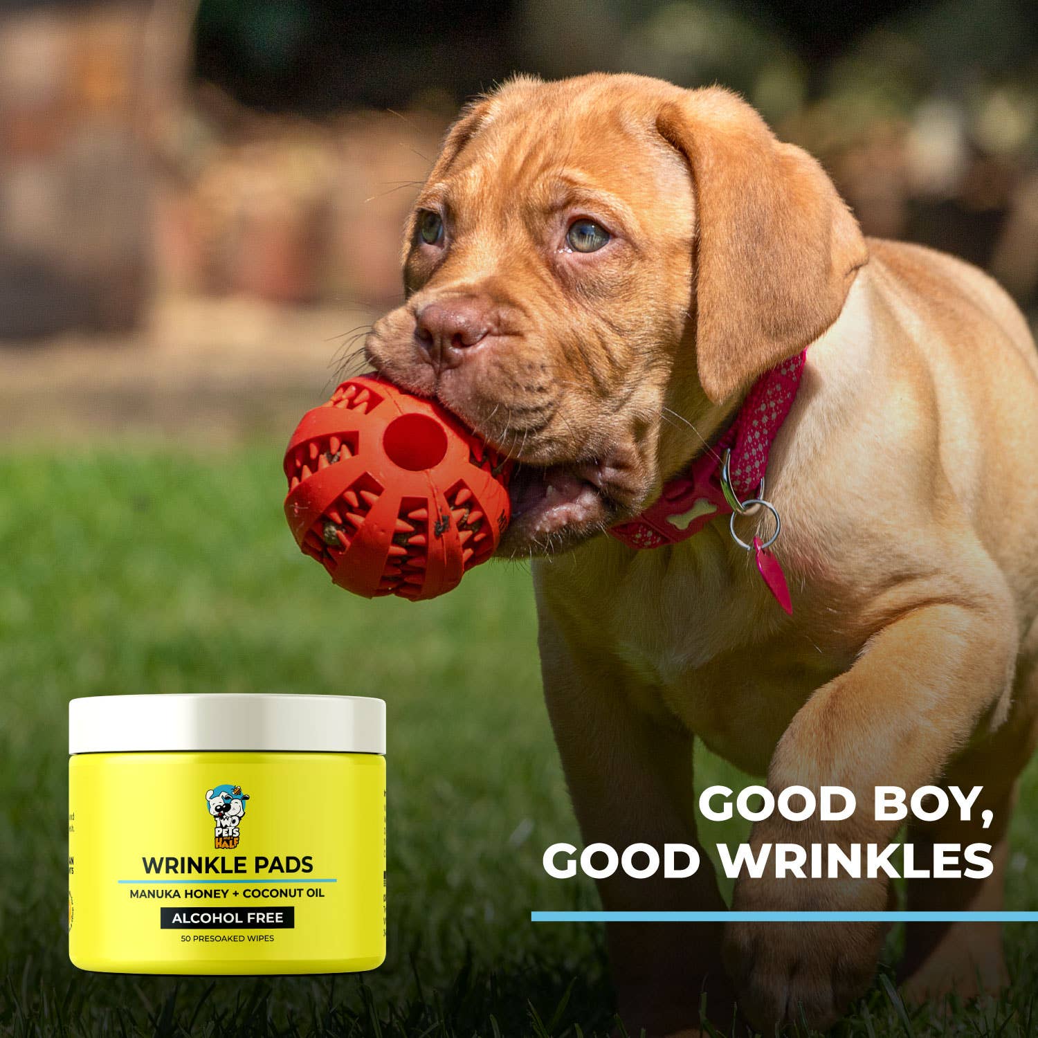 Two Pets and a Half - Wholesale Pet Grooming Aid - Dog - Wrinkle Wipes For Bulldogs7