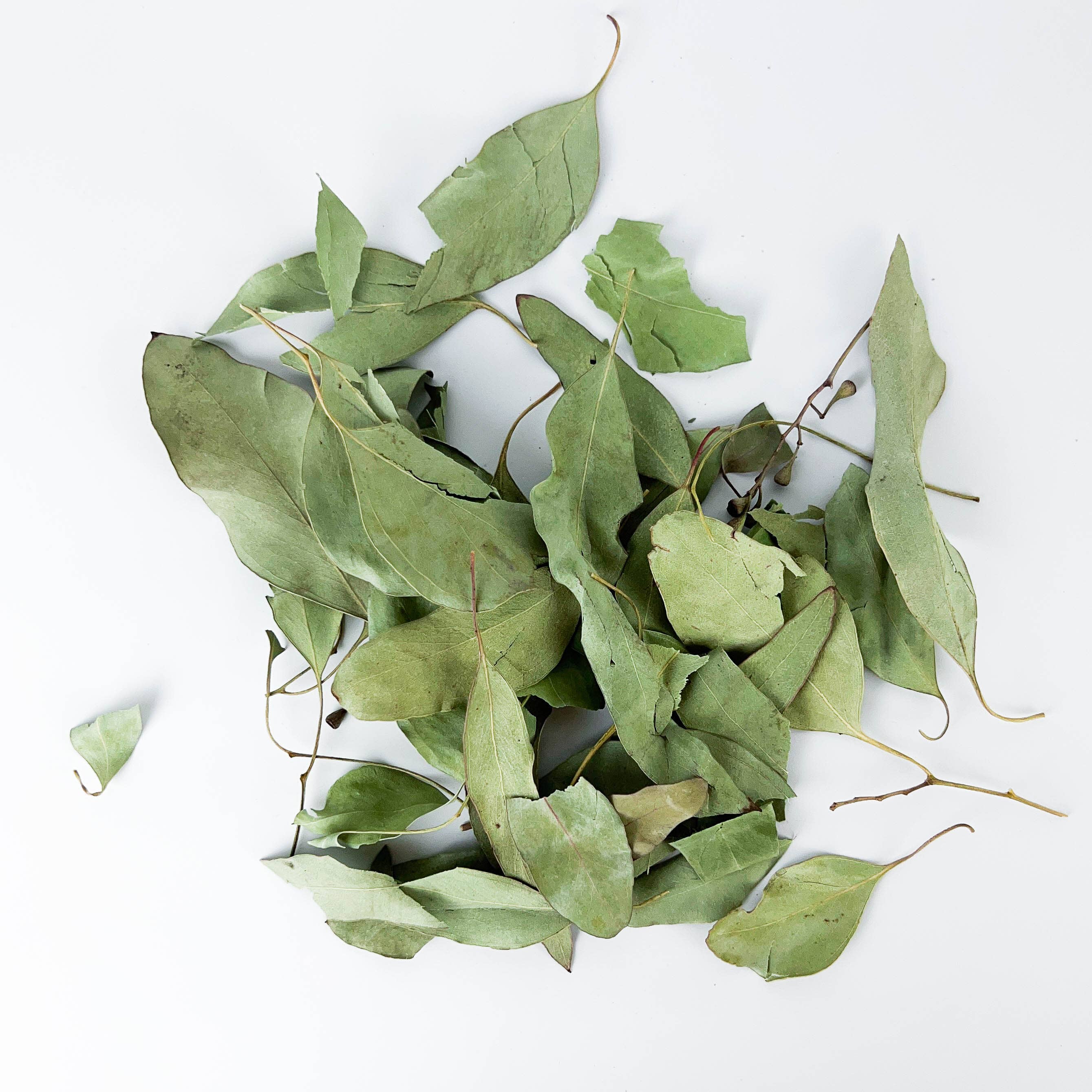 GREENROOTS USA LLC – Engroshandel Krydderurter – Eukalyptusblade 1 oz6