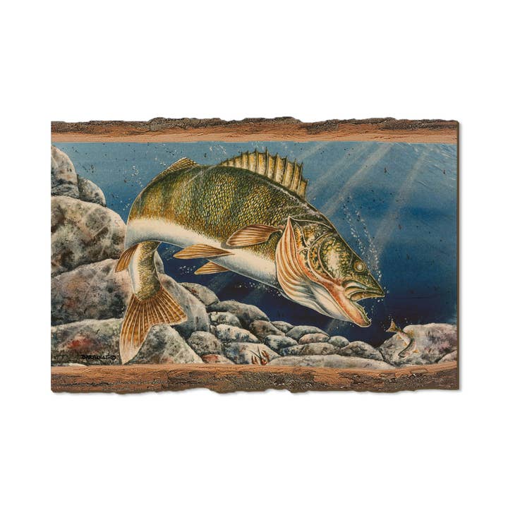 DaydreamHQ - Wholesale Postcard - Walleye - Wood Magnets & Postcards2