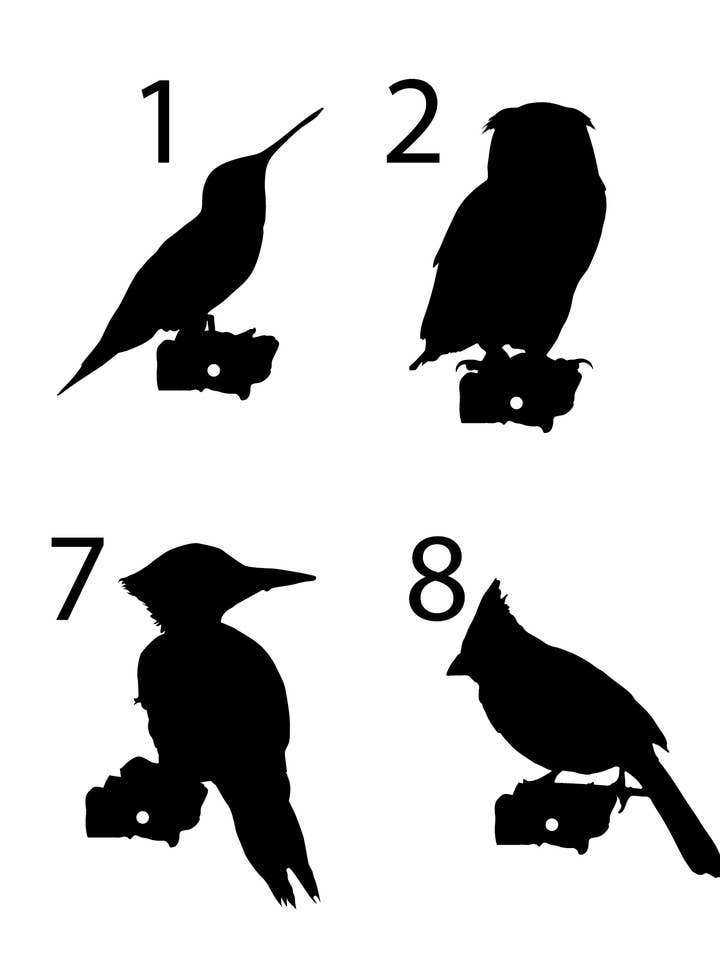 Cabane rustique en bois de grange recyclé et toit en métal, taille 2, avec oiseaux pour la vente par Flying Heart Threads