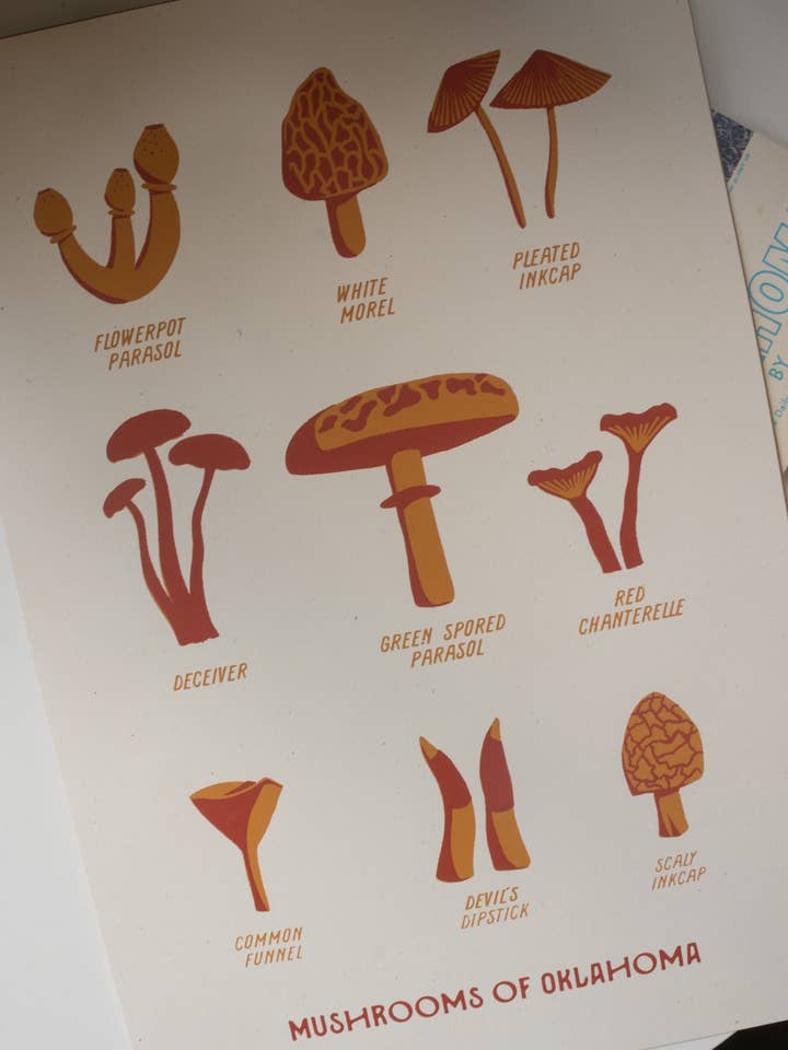 Póster Hongos de Oklahoma, 12 x 18 para venta al por mayor de Shop Good