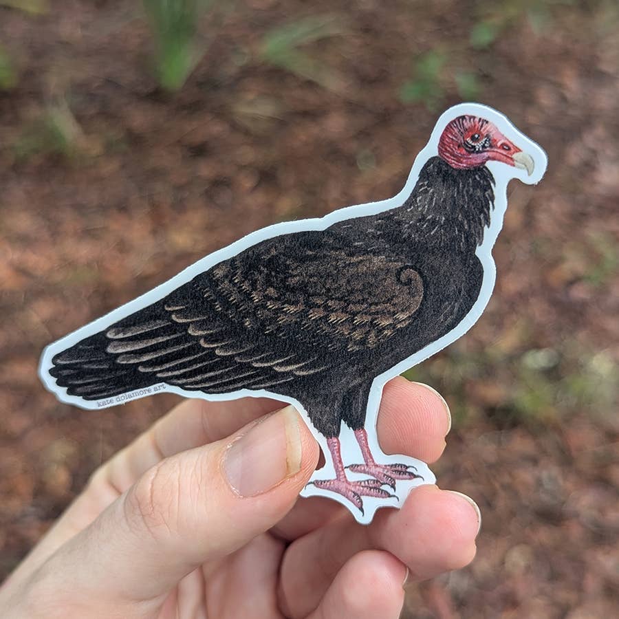 Kate Dolamore Art - Wholesale Sticker - Turkey Vulture Vinyl Bird Sticker1