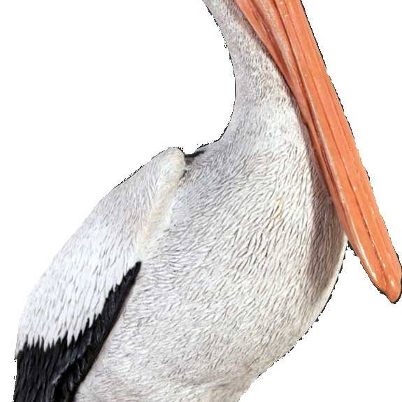 Standing Pelican Fiberglass Resin Natural Finish 34"H for wholesale by Nautical Tropical Imports
