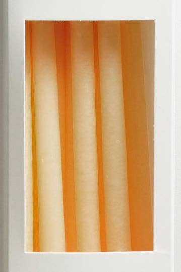 Maison Masarin – Vela/castiçal cónico por atacado – Velas artesanais francesas de florista - pacote com 1017