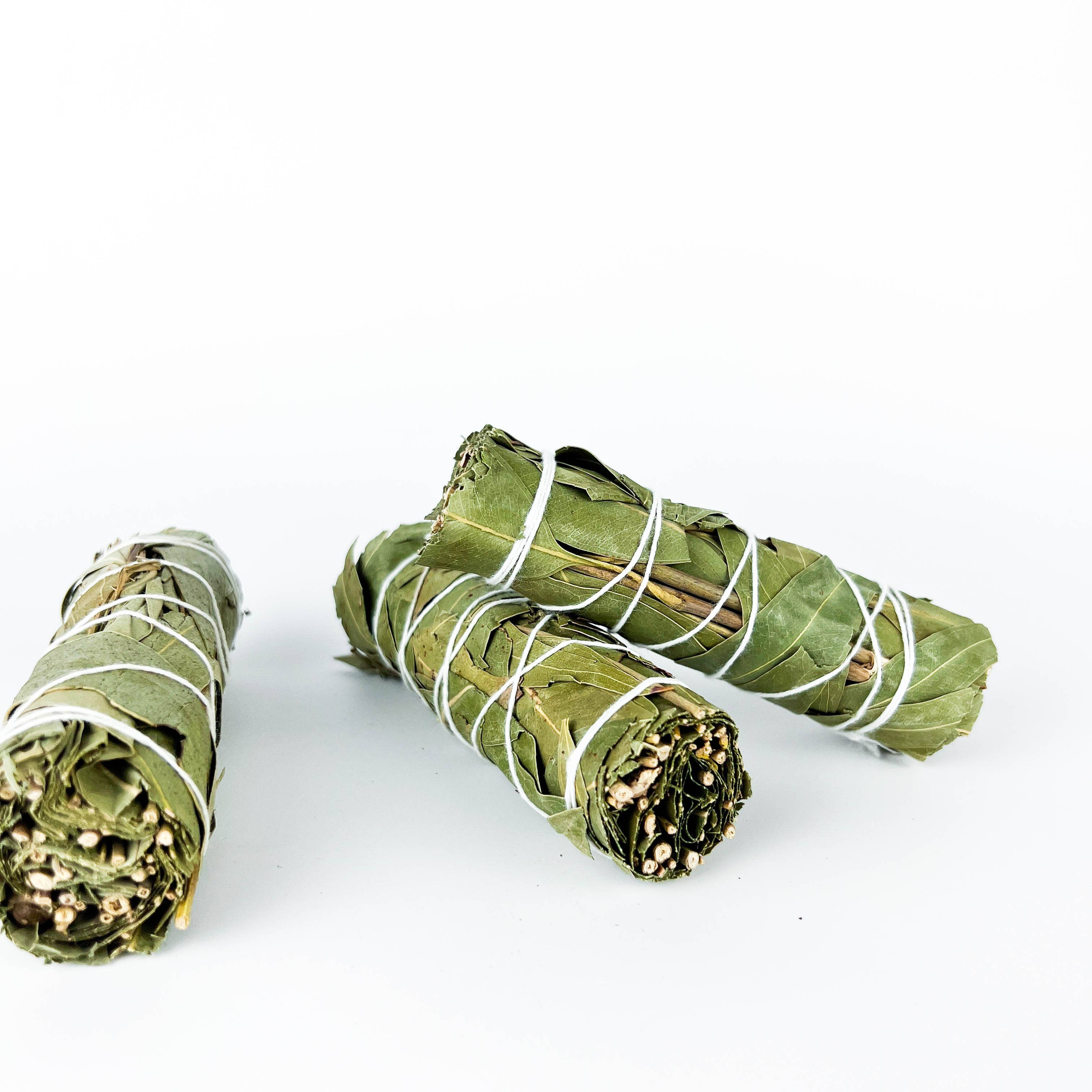 GREENROOTS USA LLC - Wholesale Smudge Stick - Eucalyptus Smudge Stick 4" Bundle For Ceremony, Meditation10