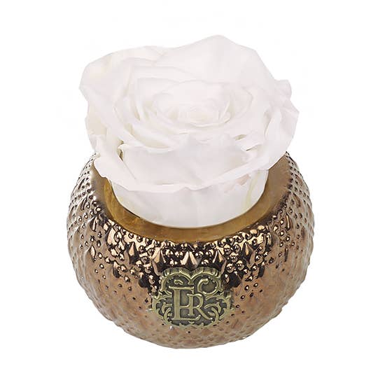Soho Mini Royal Eternal Luxury Rose for wholesale by Eternal Roses®