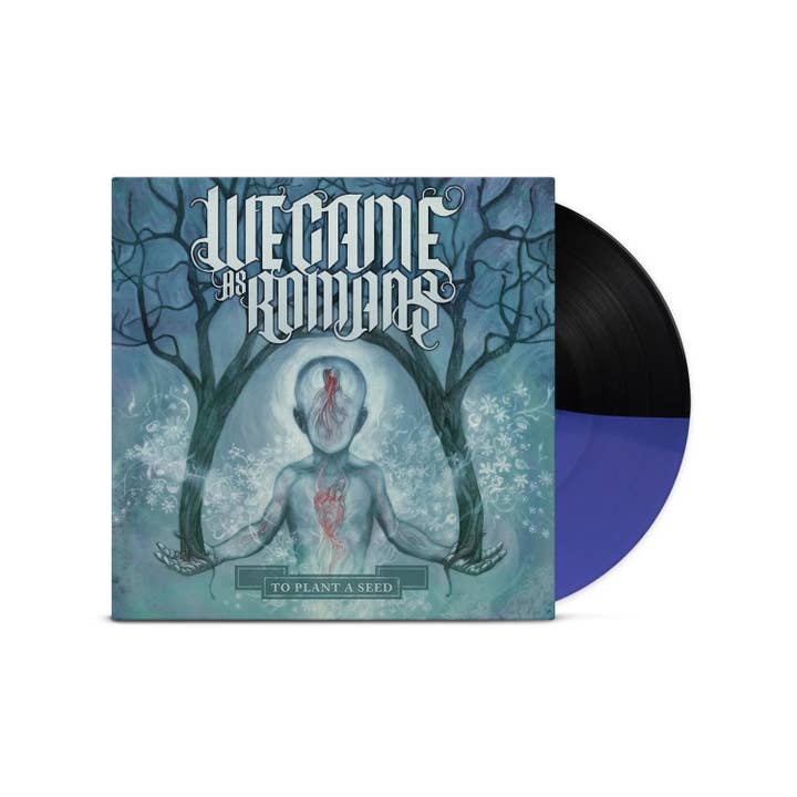 At plante et frø Sort & uigennemsigtig mørkeblå halv / halv LP for engroshandel hos Rude Records