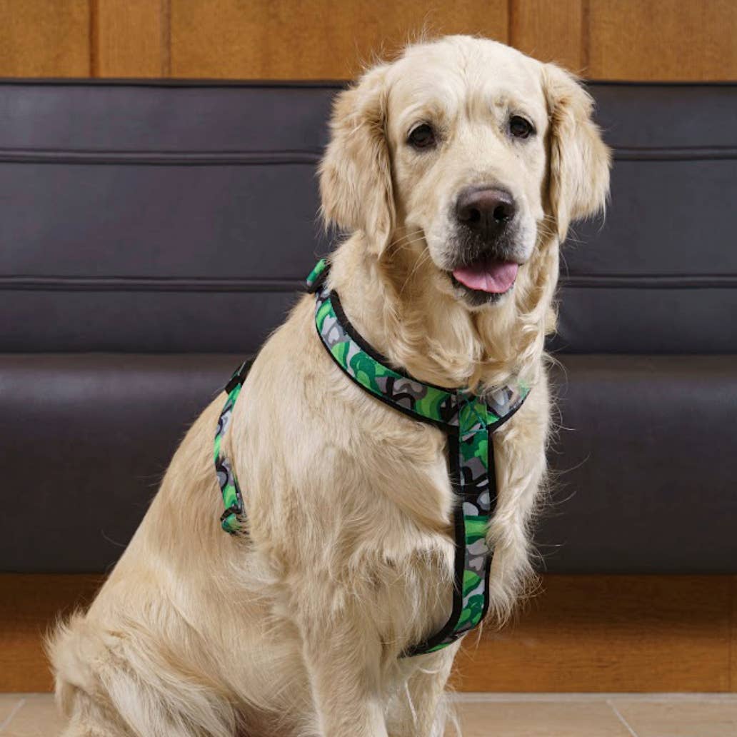 FINNERO – Arnês – Cão por atacado – FINNERO CAMOCOLOR peitoral Y ajustável para cães, 3 cores13