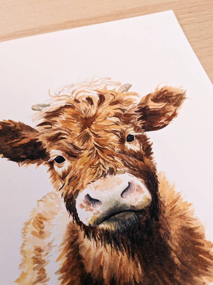 Highland Cow - Kunstdruck für den Großhandel von Kim Everhard Art